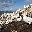 thumbs/IMG_4712.jpg